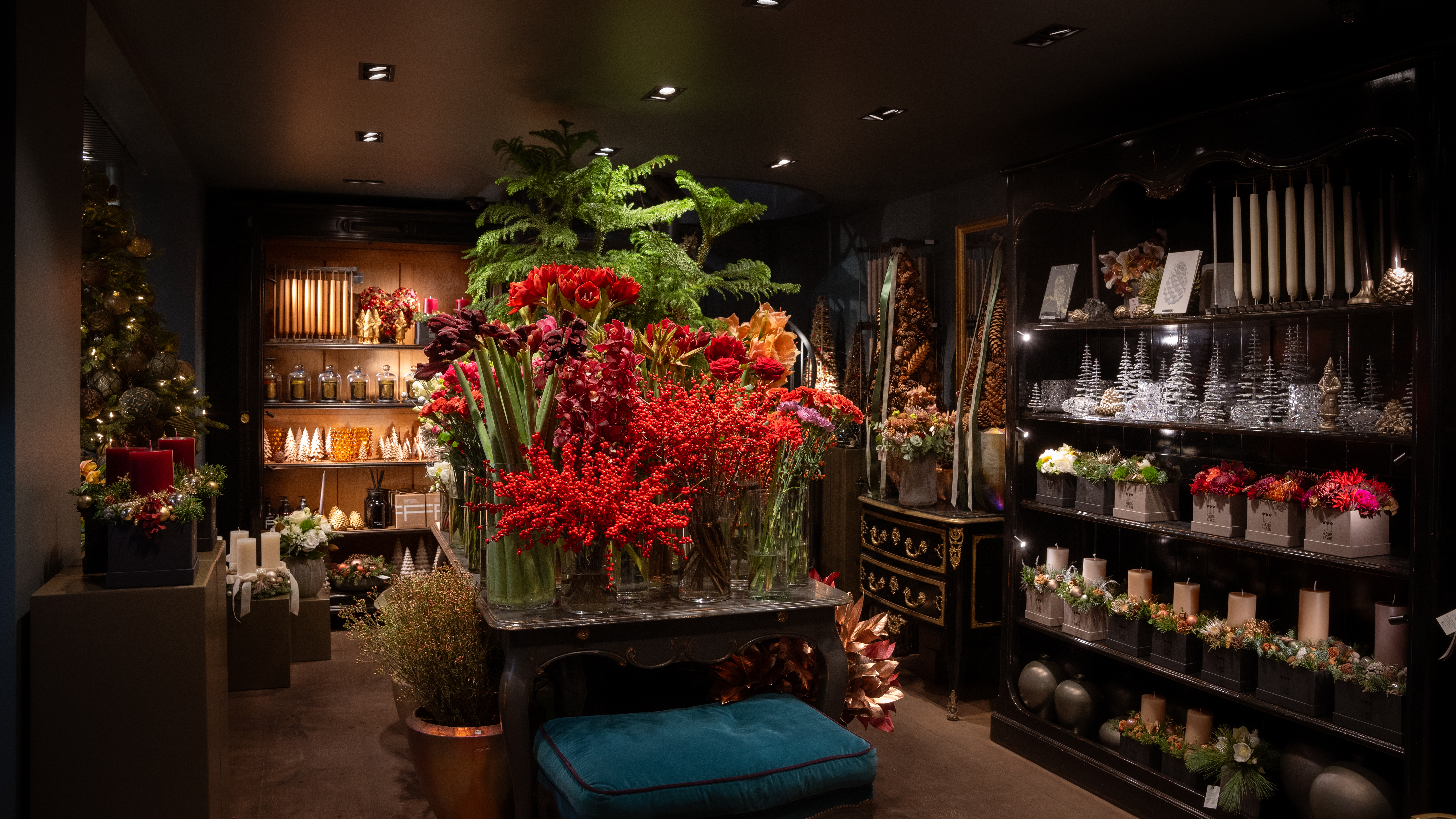 Preview image: Fleurs des Rois